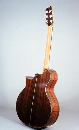 Mike Doolin Guitar